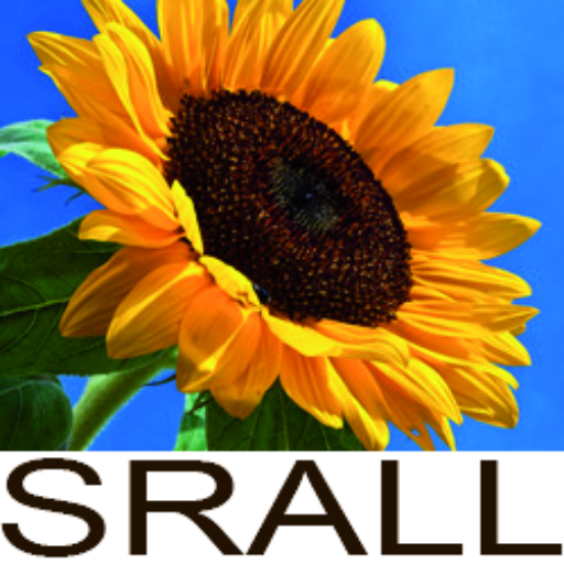 SRALL - Service de Relation d'aide Laval-Laurentides