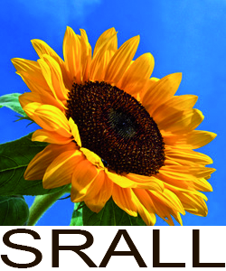 SRALL - Service de Relation d'aide Laval-Laurentides